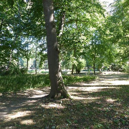 Ferienwohnung Mit Brockenblick Langenstein Eksteriør bilde