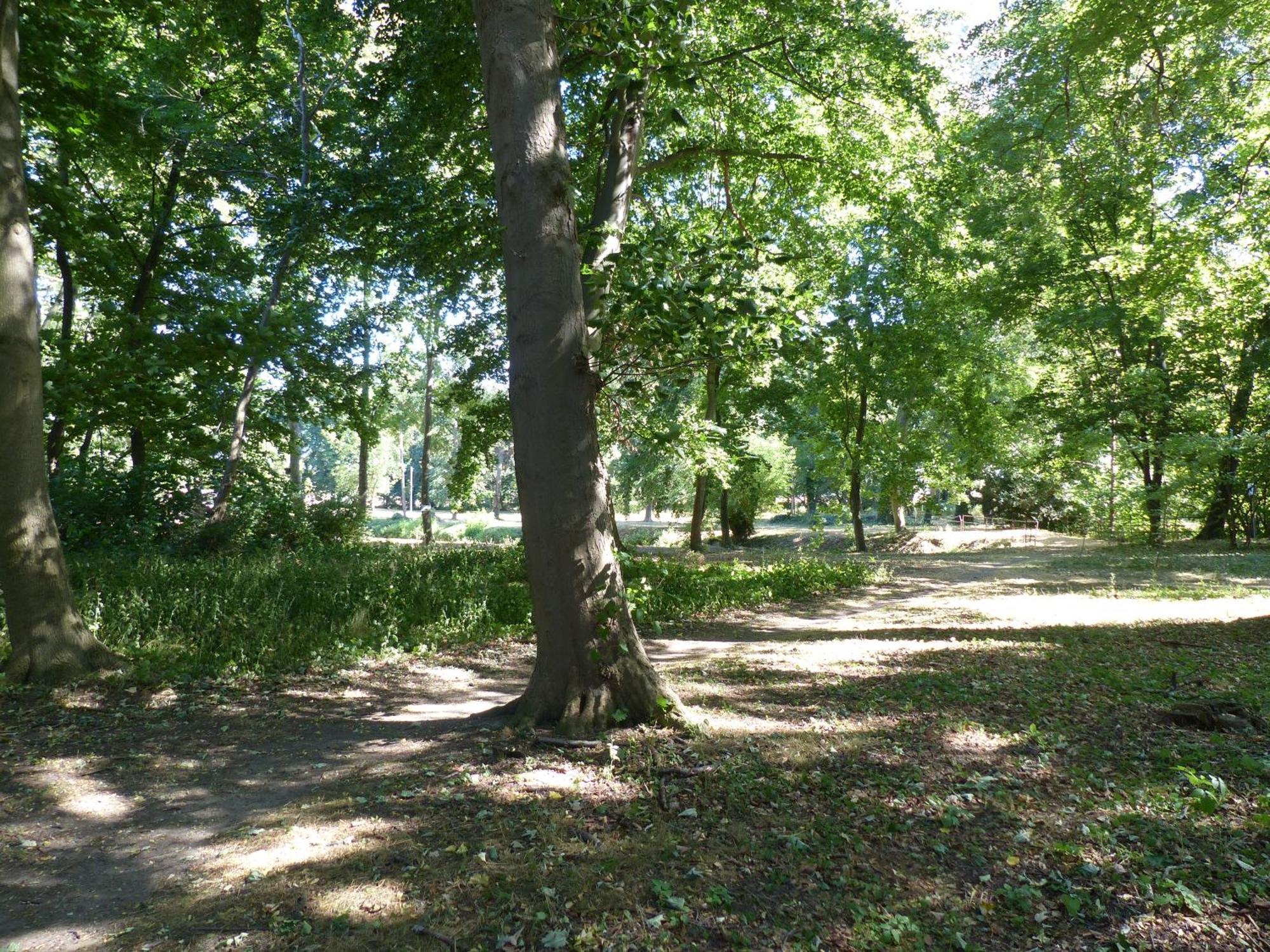 Ferienwohnung Mit Brockenblick Langenstein Eksteriør bilde